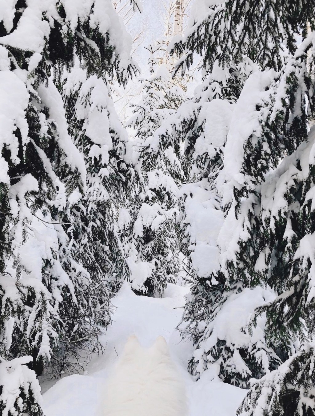 Tự nhiên cuối năm lại lắm&nbsp;việc