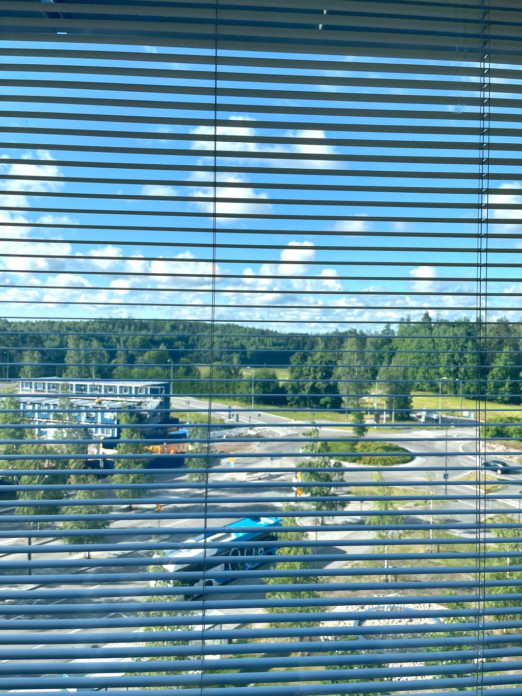 Chuyện đi đón bé Mèo-&nbsp;p.2