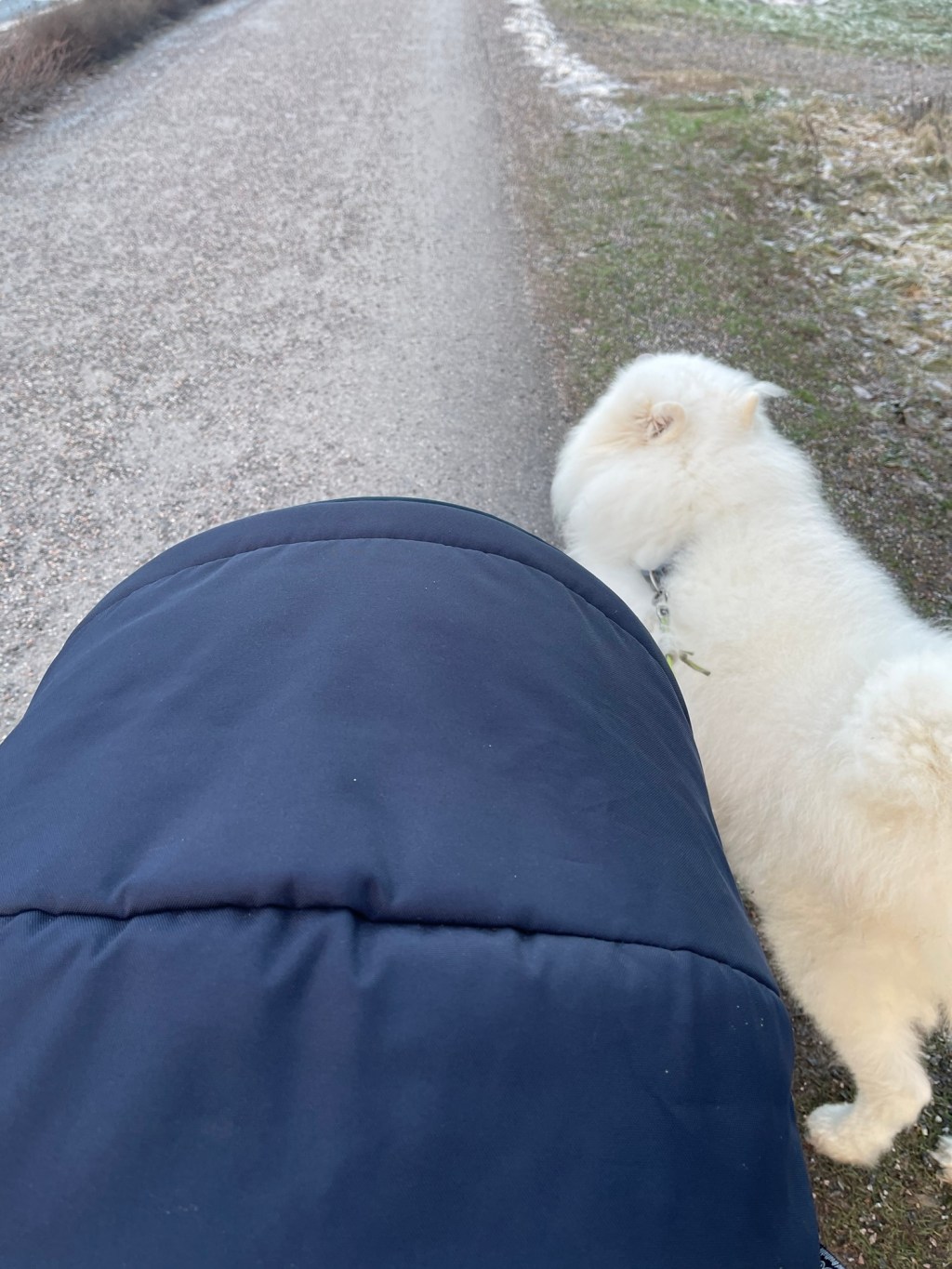 Thứ 3 cuối cùng của năm 2024