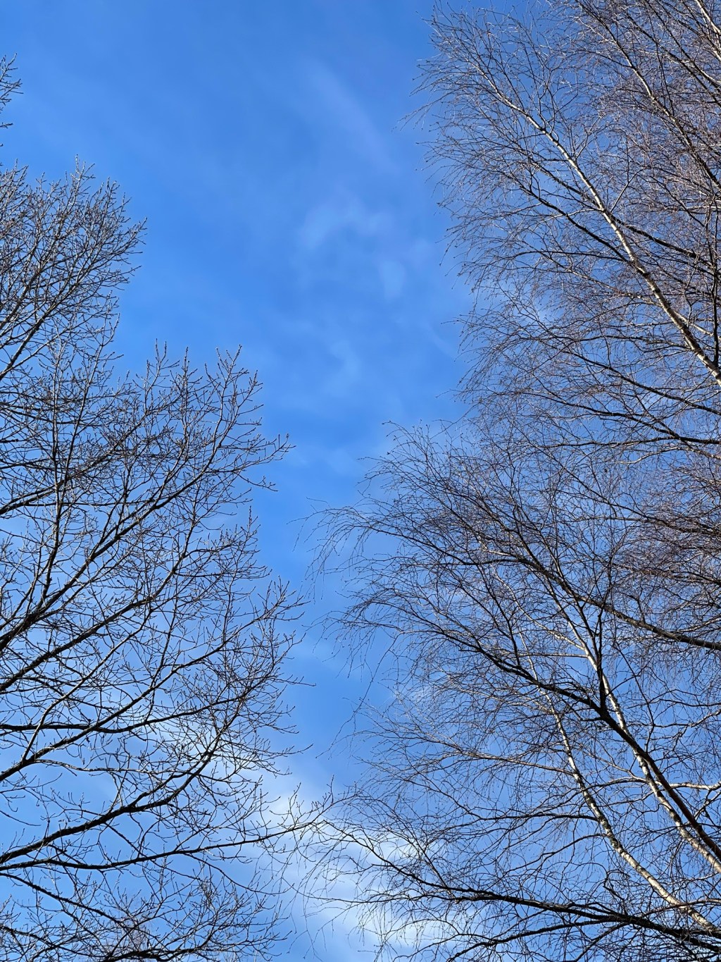 Một khoảnh khắc “nghẽn” để thức tỉnh